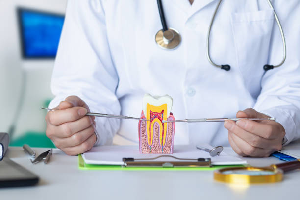Best Dental Abscess Treatment in Orlinda, TN